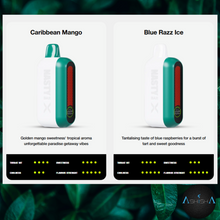 Load image into Gallery viewer, Nasty Bar X14Ki