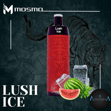 Load image into Gallery viewer, MOSMO Rechargeable Bar 0.5mg – Storm X 5000p DTL