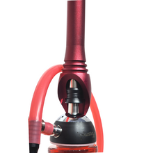 Load image into Gallery viewer, ALEXA - ROOI