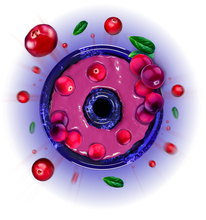 Load image into Gallery viewer, Cranberry Strike 125g