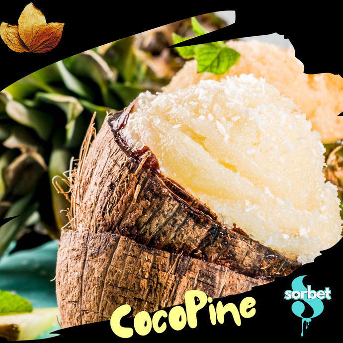 SORBET COCO PINE
