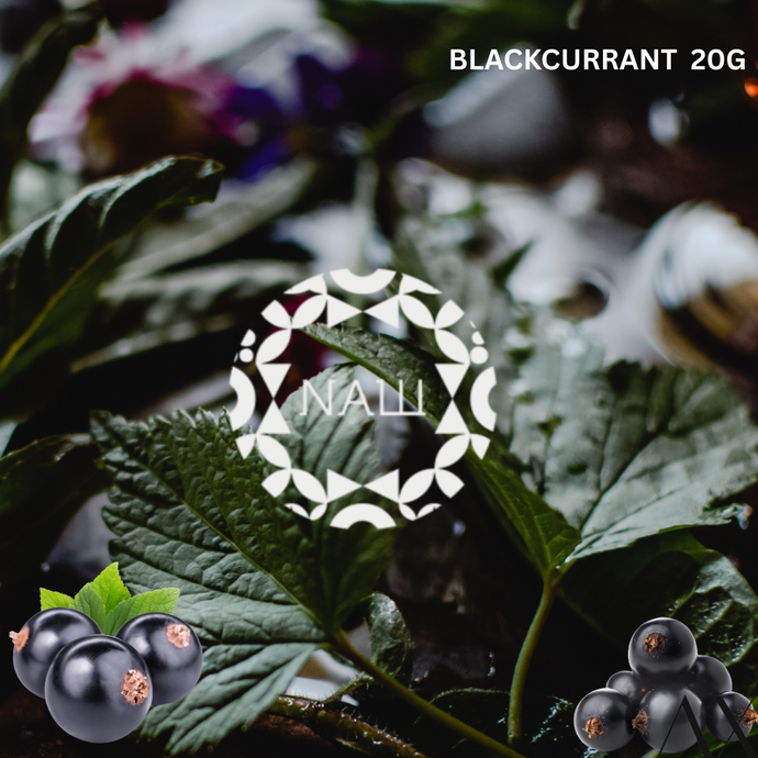 NASH HARD BLACKCURRANT 20G